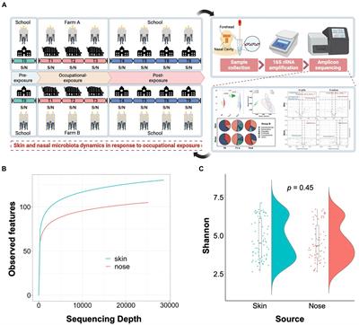 Occupational exposure in swine farm defines human skin and nasal microbiota